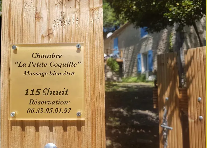 La Petite Coquille