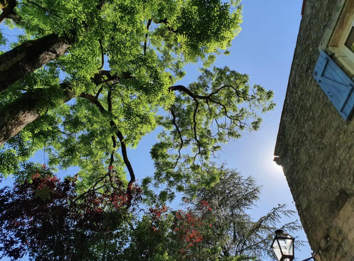 Semi Troglodyte En Foret Massage Et Diner Romantique Alloggio in famiglia